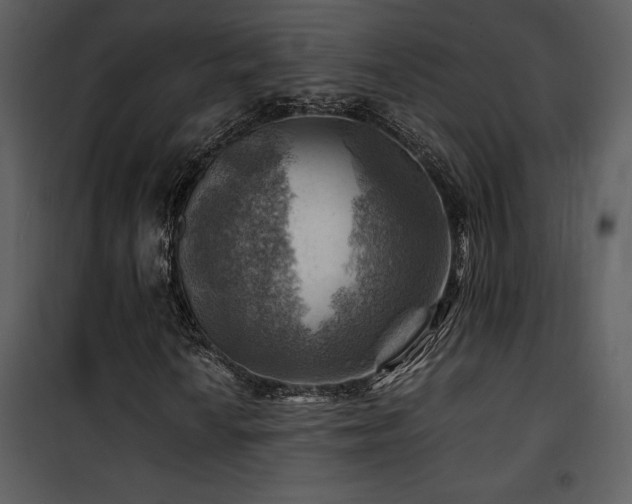 X0000102011010200807181223