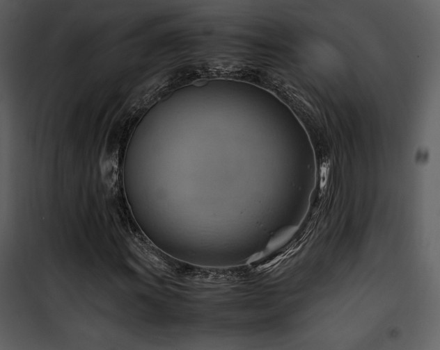X0000102011011200807181223