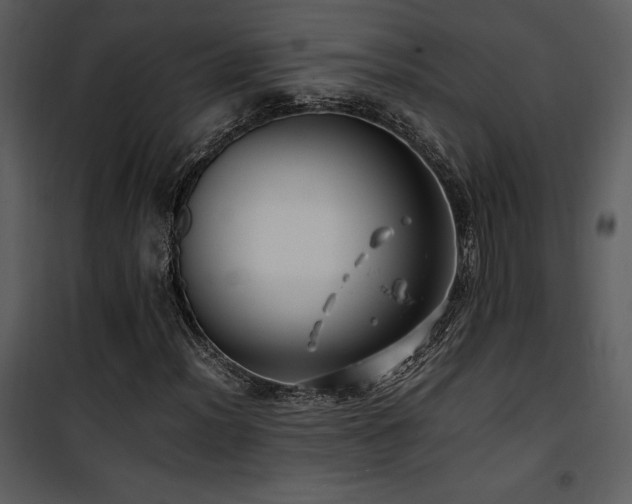X0000102011012200807181223