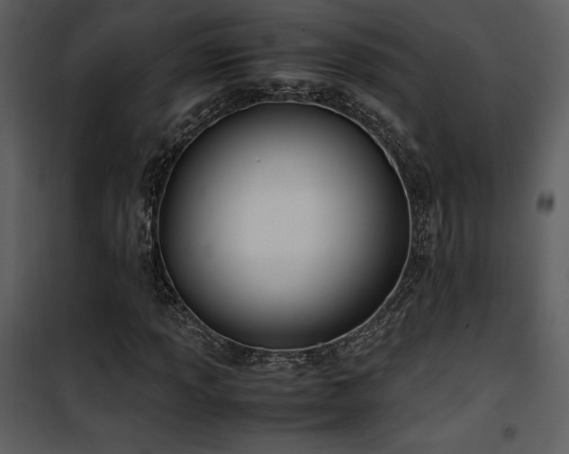 X0000102011013200807181223