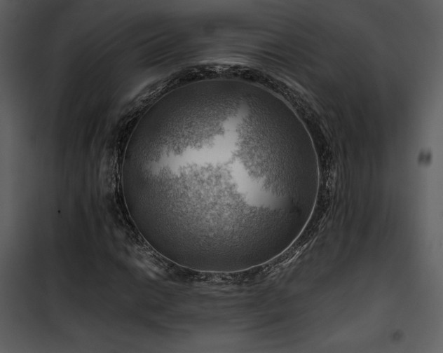 X0000102011014200807181223