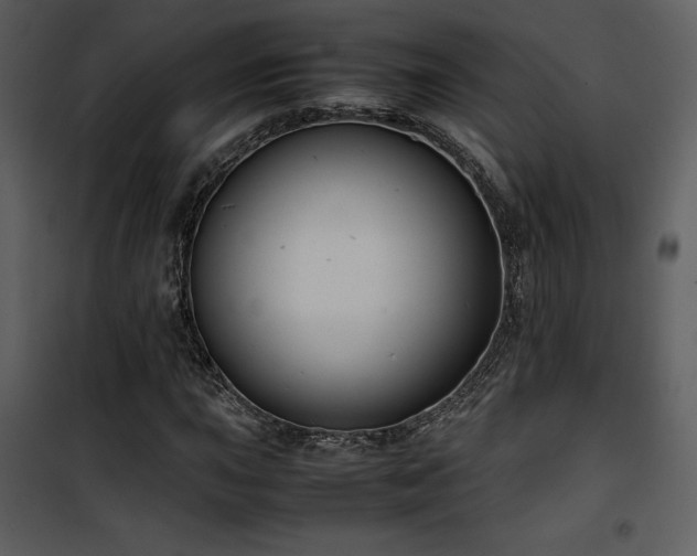 X0000102011015200807181223