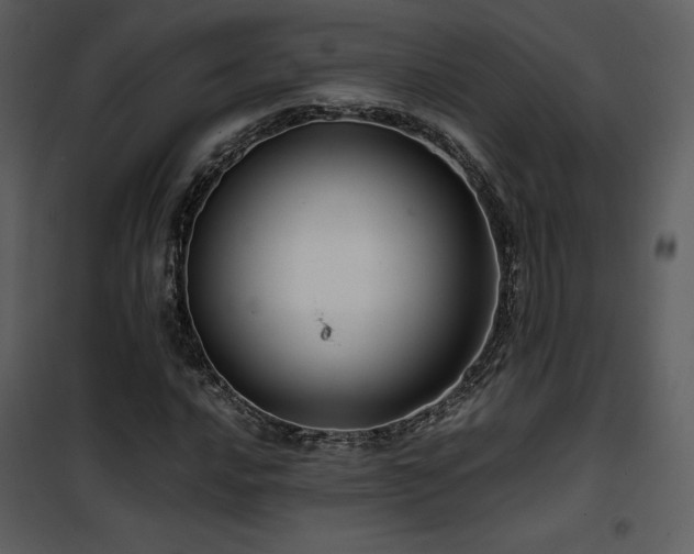 X0000102011016200807181223