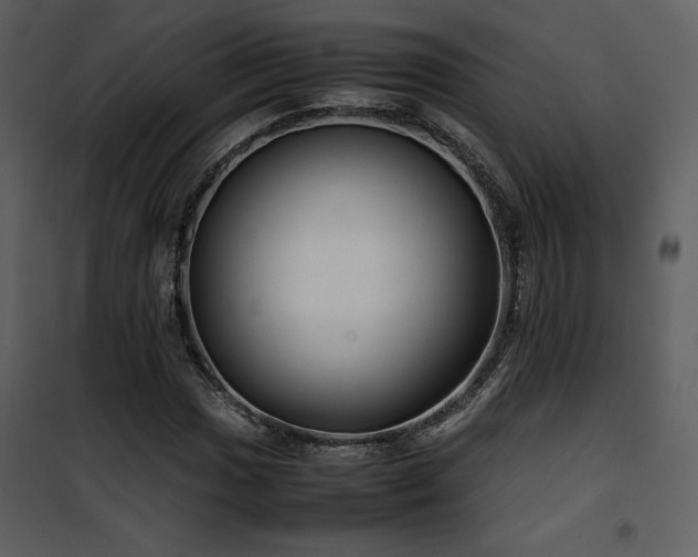 X0000102011017200807181223