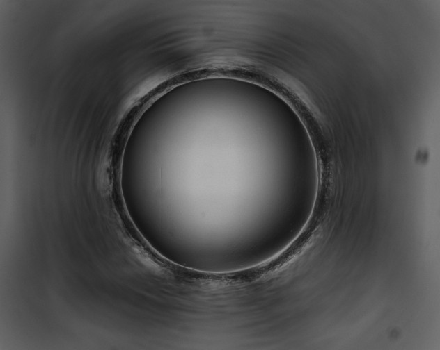 X0000102011018200807181223