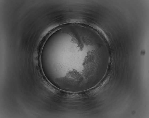 X0000102011019200807181223