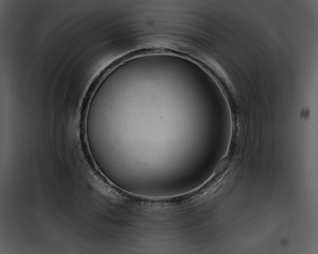 X0000102011020200807181223