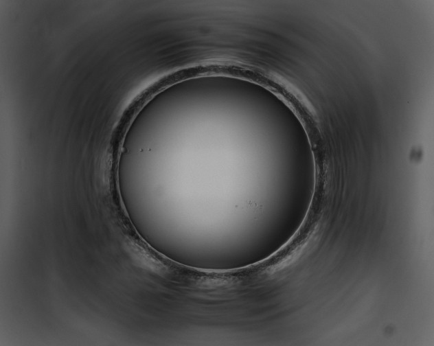 X0000102011021200807181223