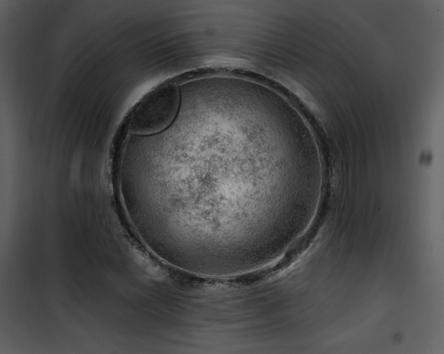 X0000102011022200807181223