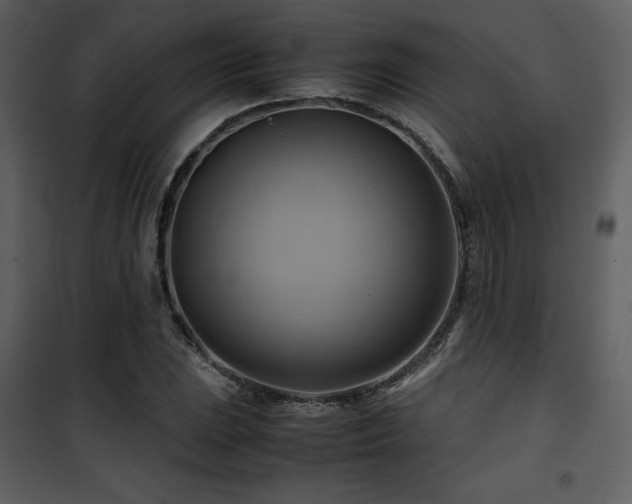 X0000102011023200807181223