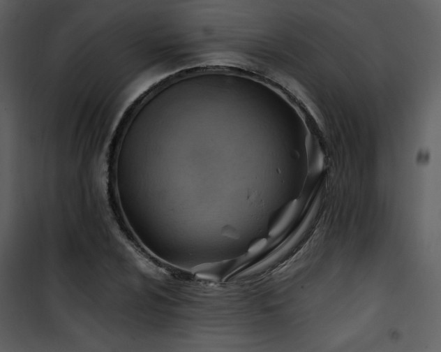 X0000102011024200807181223