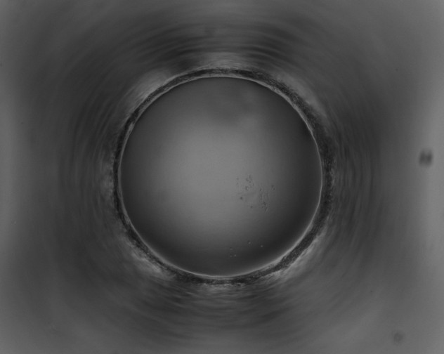 X0000102011025200807181223