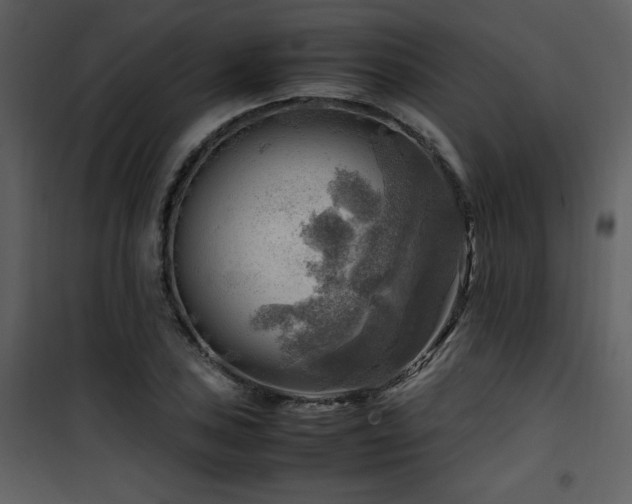 X0000102011027200807181223