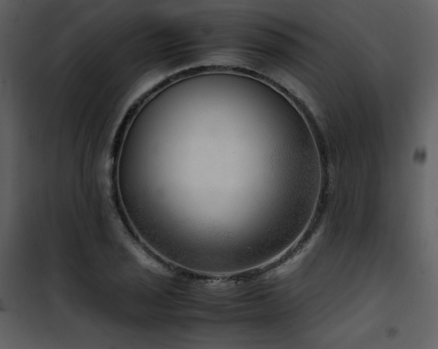 X0000102011029200807181223