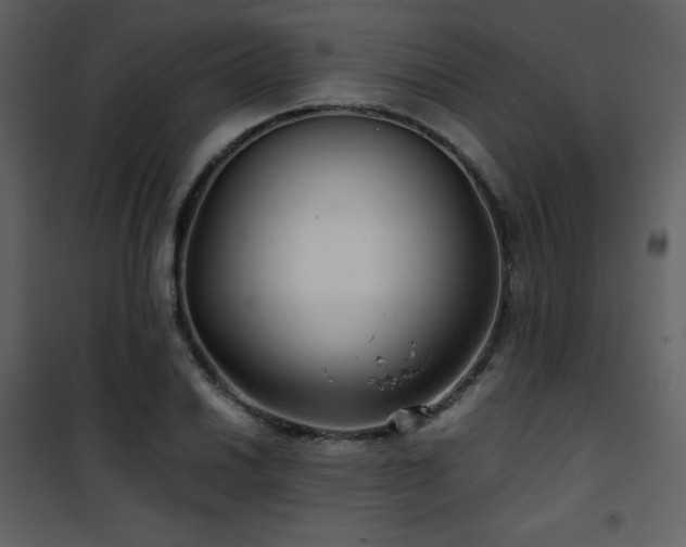 X0000102011030200807181223