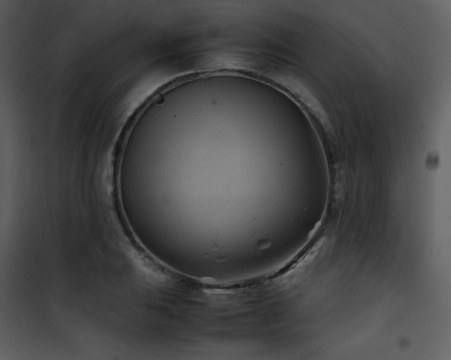 X0000102011031200807181223