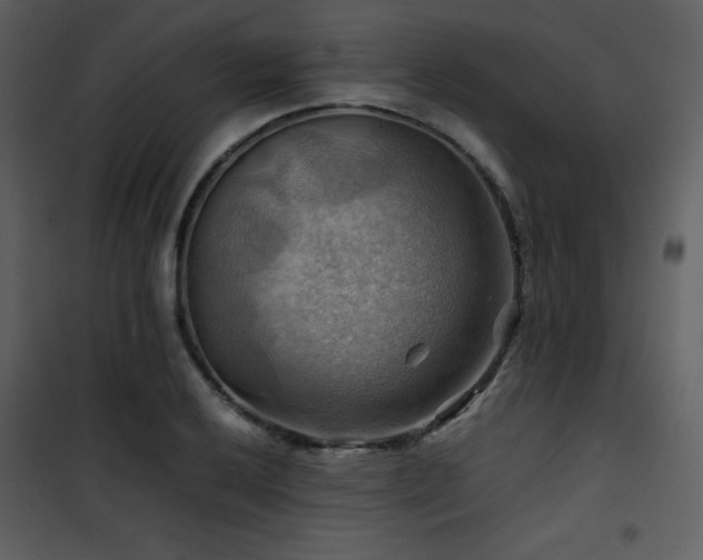 X0000102011032200807181223