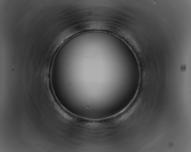 X0000102011033200807181223