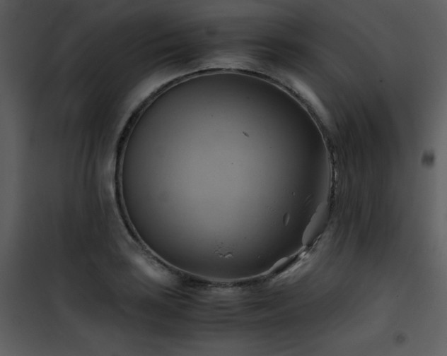X0000102011035200807181223