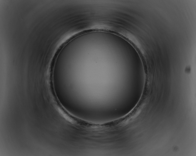 X0000102011037200807181223