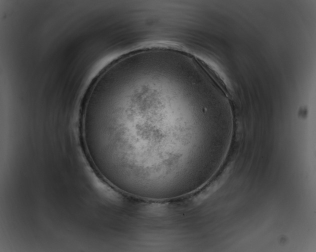 X0000102011038200807181223