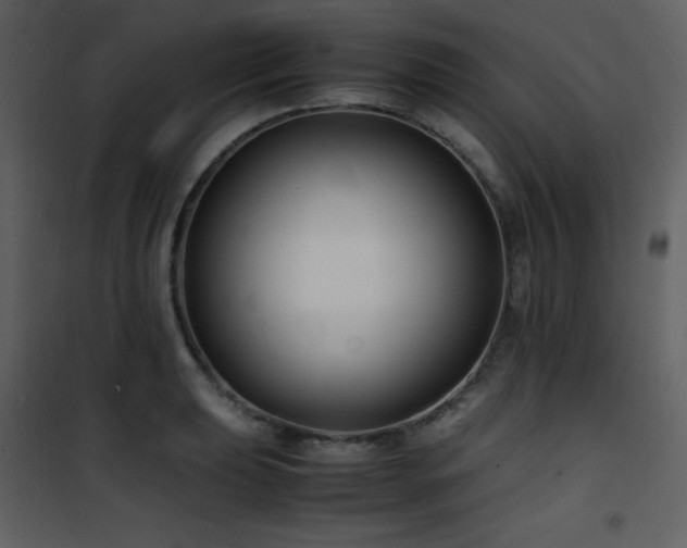 X0000102011039200807181223
