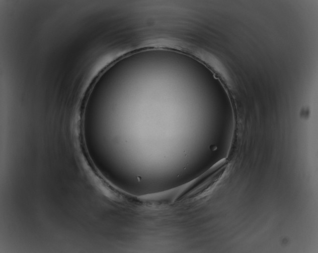 X0000102011040200807181223