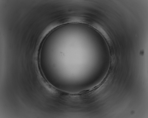 X0000102011043200807181223