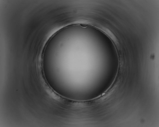 X0000102011044200807181224