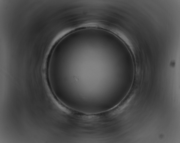 X0000102011045200807181224