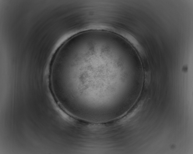 X0000102011046200807181224