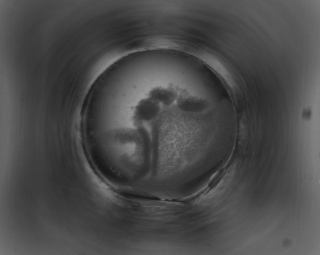 X0000102011047200807181224