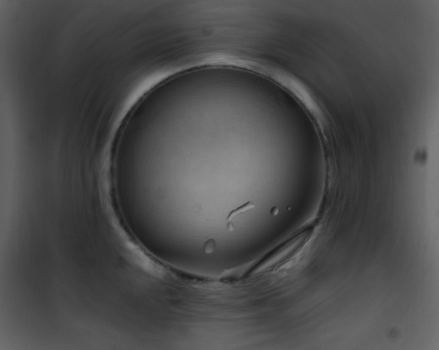 X0000102011048200807181224