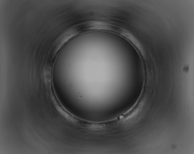 X0000102011049200807181224