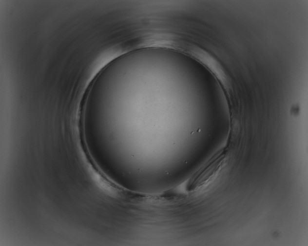 X0000102011050200807181224