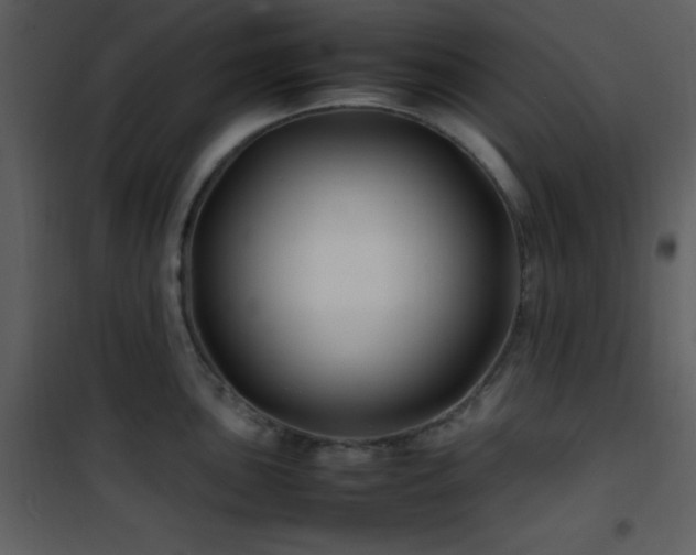 X0000102011051200807181224