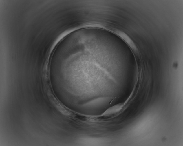 X0000102011052200807181224