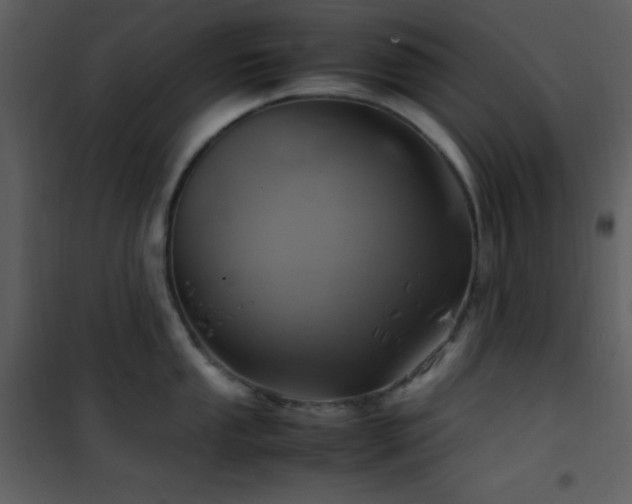 X0000102011053200807181224