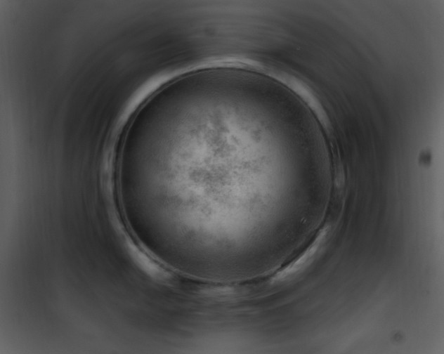 X0000102011054200807181224
