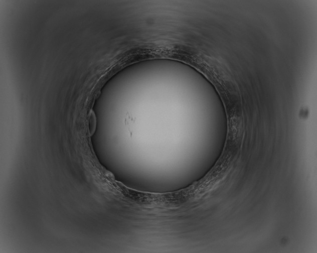 X0000102011057200807181223