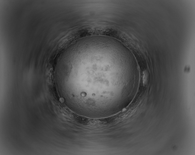 X0000102011059200807181223