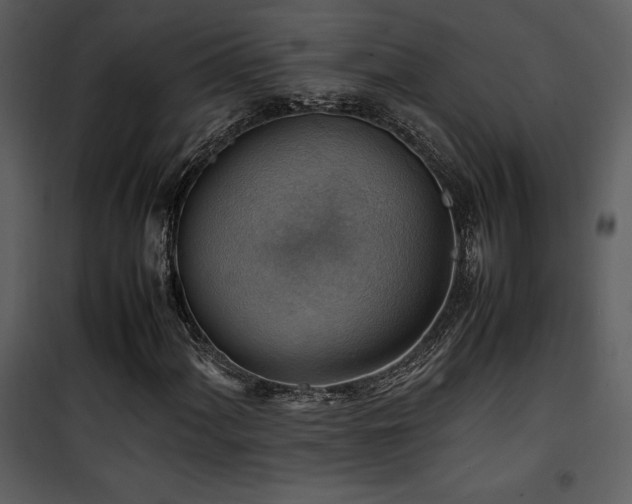 X0000102011060200807181223