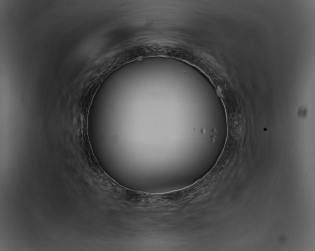 X0000102011061200807181223