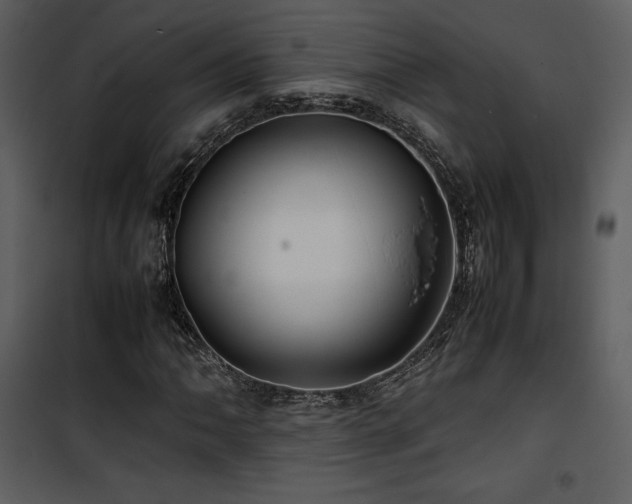 X0000102011062200807181223