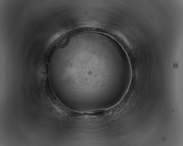 X0000102011064200807181223