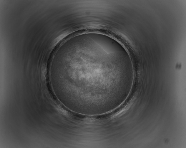 X0000102011065200807181223