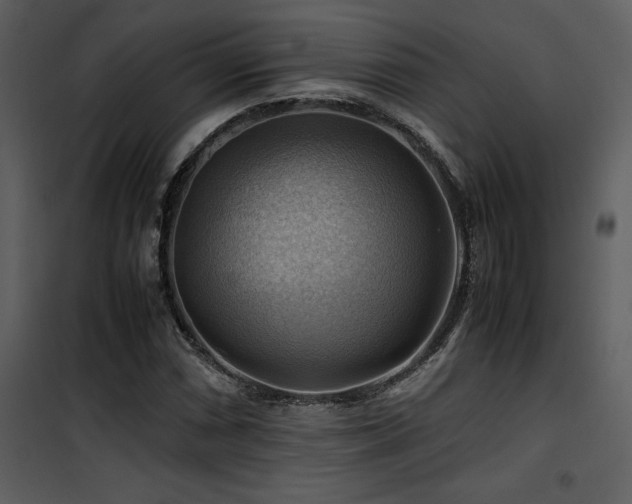 X0000102011066200807181223