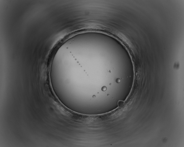X0000102011067200807181223