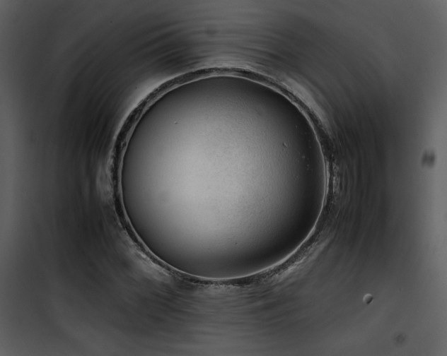 X0000102011068200807181223