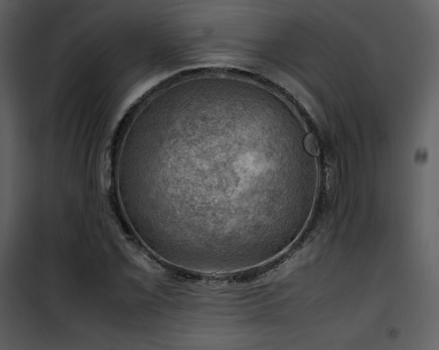 X0000102011069200807181223